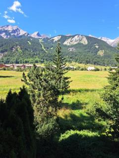Marmotte Monetier - Le Monêtier-les-Bains - 2