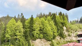 Penthouse - Travel Haven - Pamporovo - 8