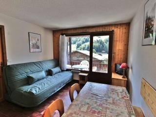Appartement 2 pièces + coin montagne, balcon sud, au centre du village - FR-1-458-139 - Le Grand-Bornand - 0
