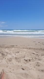 Beach Los Arenales del Sol Alicante - 6