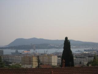 Under Olive Tree - Tolone - 4