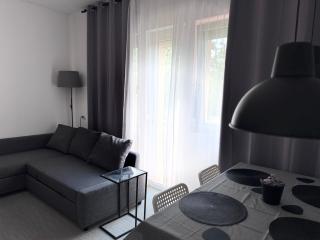 Pineta Apartment with Exclusive Pool - Campo di Pietra - 6