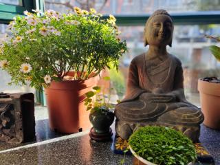 Jiusong Mountain House B&B - 8