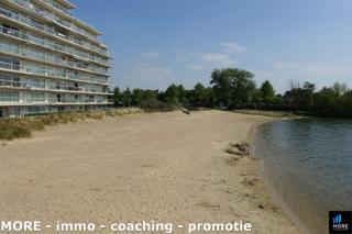Studio in Laguna Beach, Knokke-Heist - Knokke-Heist - 5