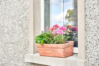 Mc Callstown House Apartment - Ballyclare - 1
