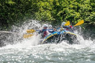 Mountain View - Trek, Bike, Ski, Lake - Flims - 7