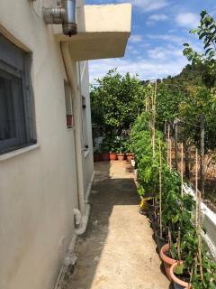 Andromahi apartments - Città di Alonissos - 6