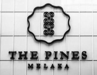 Piney 99 Suite Hotel - Malacca - 0