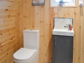 Beech - Uk47622 - Hunmanby - 3