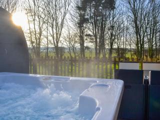 Beech - Uk47622 - Hunmanby - 1