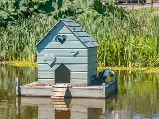 The I-Hut - Uk48330 - Lifton - 3