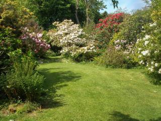 Garden Studio - St Austell - 3