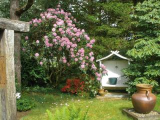 Garden Studio - St Austell - 4