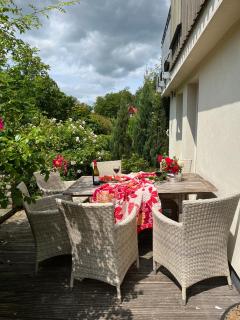 Haus Elbsinfonie - Bad Schandau - 7