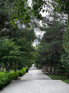 Квартира-студия Радуга Вест Прованс - Kosh-Kël' - 3