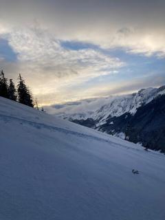 All-wood chalet in Haute-Savoie - Nancy-sur-Cluses - 4