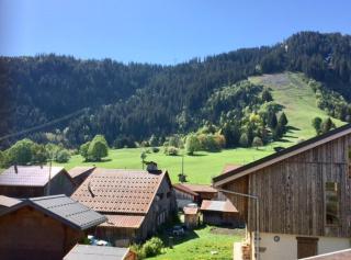 All-wood chalet in Haute-Savoie - Nancy-sur-Cluses - 3