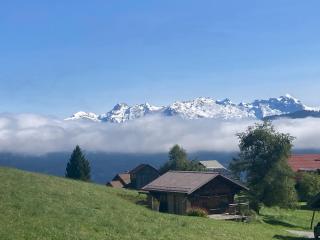 All-wood chalet in Haute-Savoie - Nancy-sur-Cluses - 2