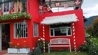 Tabio's Dreamland - Tabio - 3