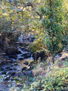 CAMPING Pleine Nature - Boule - dʼAmont - 5