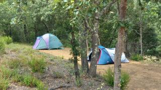 CAMPING Pleine Nature - 9