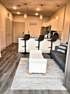 New! 1 Bed 1 Bath Medical Center NRG Area Middle of Everywhere - Houston - 3