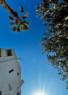 2 bedroom self-contained apartment and swimming pool at Palm Tree Villa - Anavissos - 7