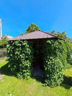 Pokoje gościnne - U Ewuni - Sztutowo - 8