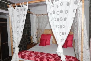 Heritage homestays - Kasauli - 0