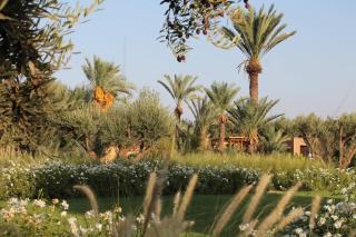 Dar Toozween - Marrakesh - 8