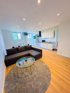 Modern 1BR & 1LR Apartment, 10 min Walk to City Center - Gand - 7