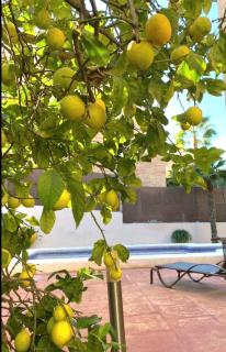 Casa en Valencia, cerca de golf, playas, moto Gp - Valencia - 3