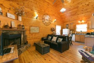 Blueberry Hill Cabin-Private, secluded cabin with a fireplace and New Hot Tub 2025 - 5