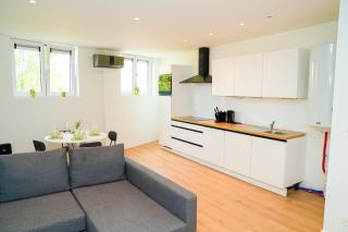 Modern 1BR & 1LR Apartment, 10 min Walk to City Center - Gand - 5