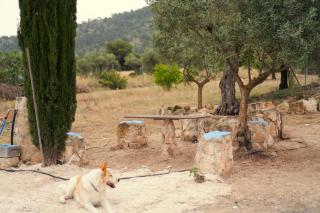 Casa la Serrana - Yecla - 3