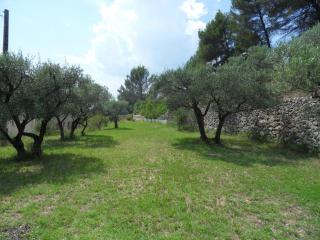 La Sauvagine - Barjols - 9