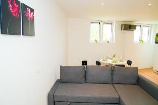 Modern 1BR & 1LR Apartment, 10 min Walk to City Center - Gand - 6