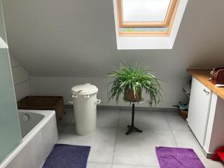 Natur, Kultur und Wandern - 4