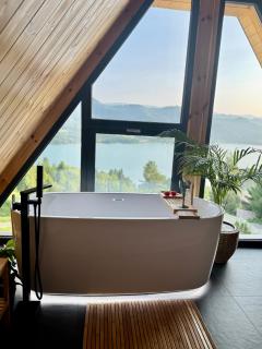 A-Frame Belvedere Colibița - 9