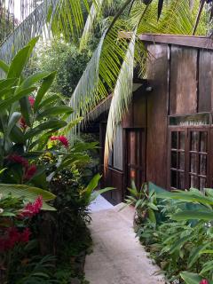 FLOR DE PARAISO BUNGALOWS - Montezuma - 7