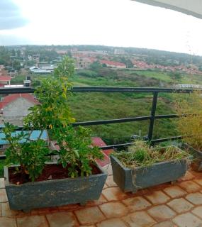 Comfy Stay - Ongata Rongai - 6