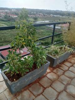 Comfy Stay - Ongata Rongai - 1