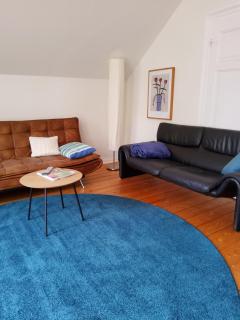 FeWo 110qm mit Balkon an Weser/Glacis/City - Minden - 8