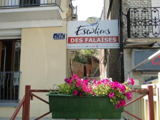 Les Pélicans - 5