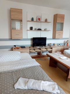 Apartman ,,Panorama'' - Tuzla - 0