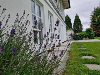 The Garden Studio - Sankt Ruprecht an der Raab - 6