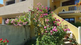La Ghirielle - - 9