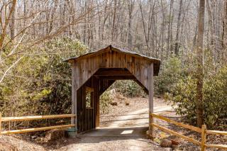 Willow Pond Cabin that is peaceful and quiet - 4