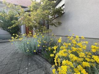 Smart Stay Apartment Samobor - Samobor - 6