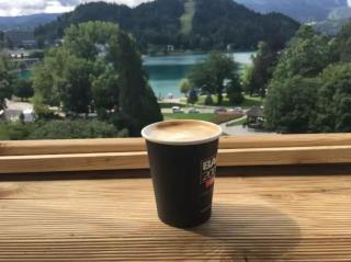 Lake and Castle view apartment - Bled - 5